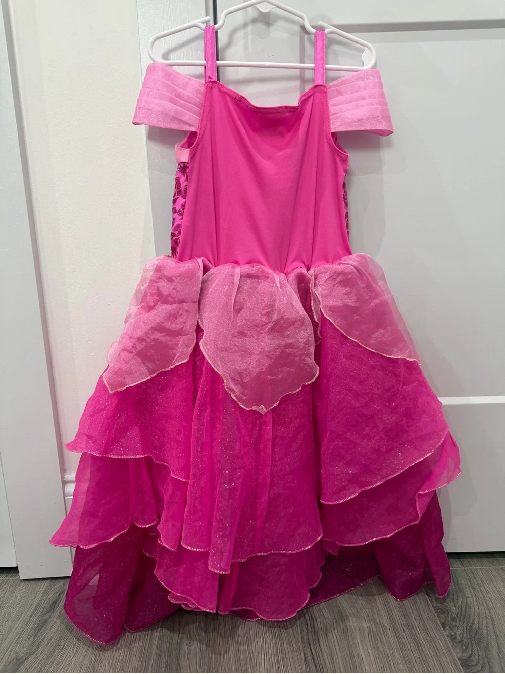 Disney Hot Pink and Light Pink Princess Ball Gown Costume
